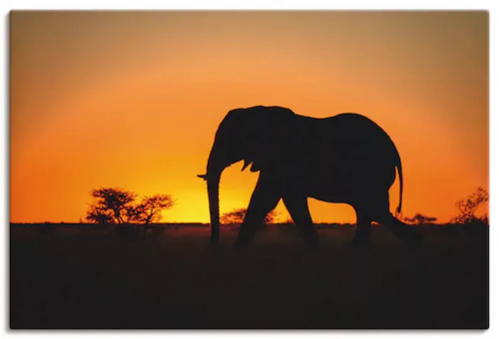 Artland Leinwandbild "Afrikanischer Elefant im Sonnenuntergang", Wildtiere, günstig online kaufen