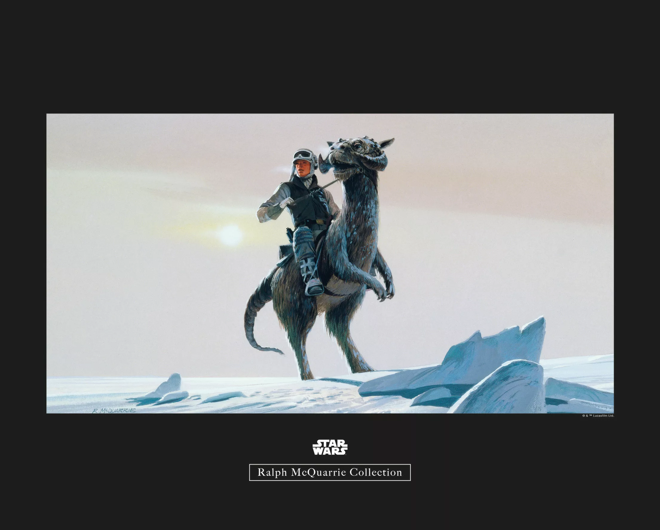 Komar Wandbild Star Wars Tauntaun 50 x 40 cm günstig online kaufen