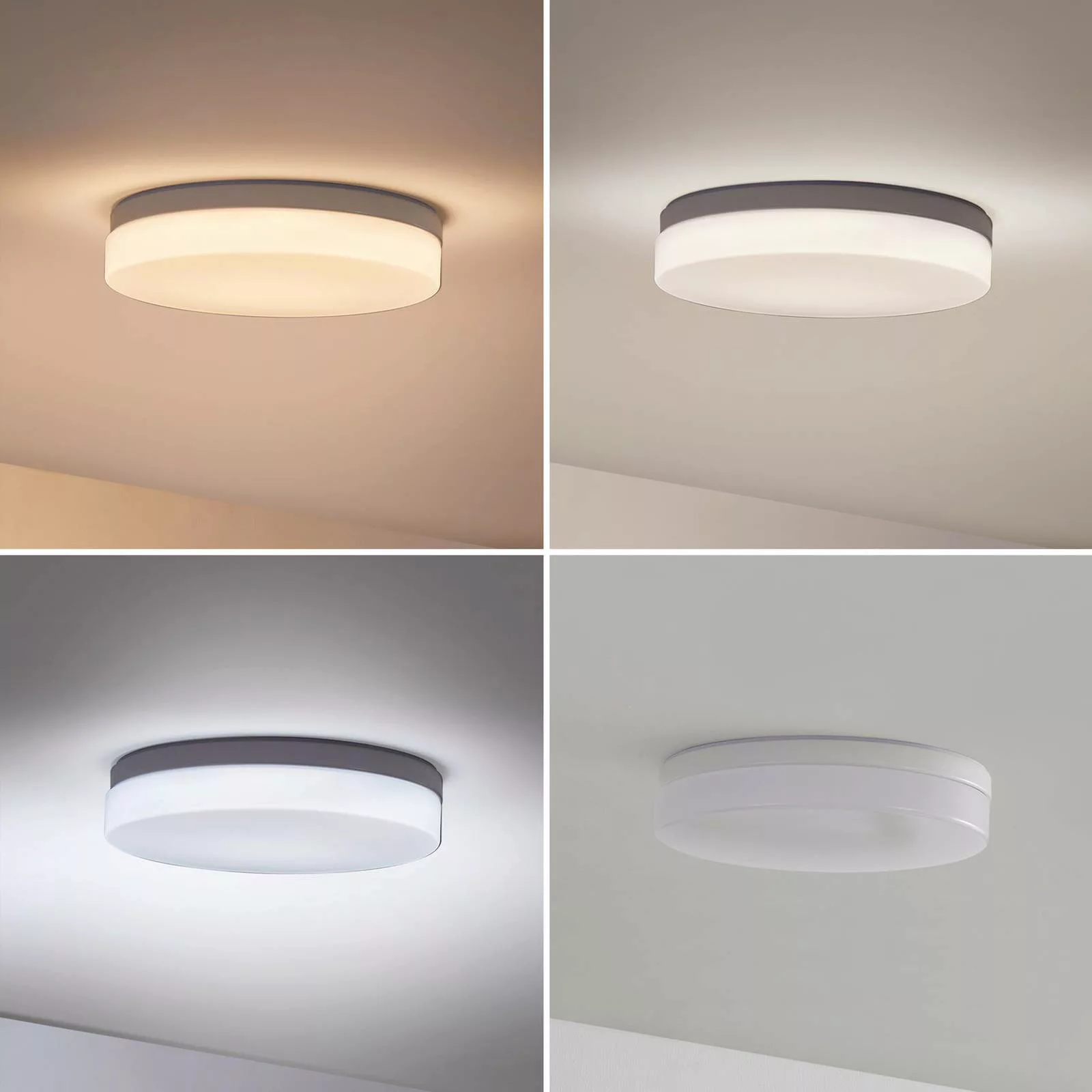 Prios Wynion LED-Deckenlampe CCT DIP-Schalter 30cm günstig online kaufen