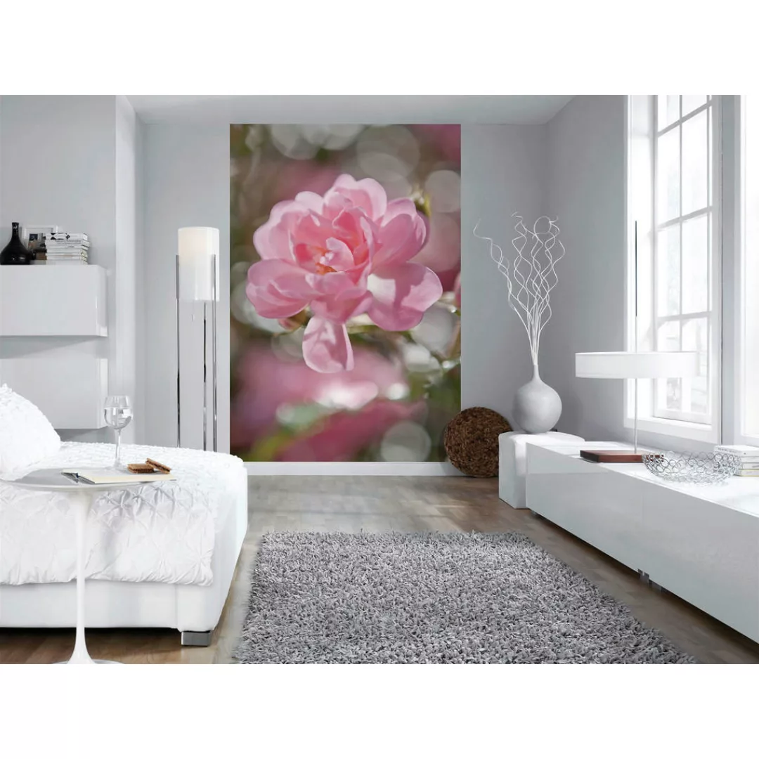 Komar Fototapete Bouquet 184 cm x 254 cm FSC® günstig online kaufen