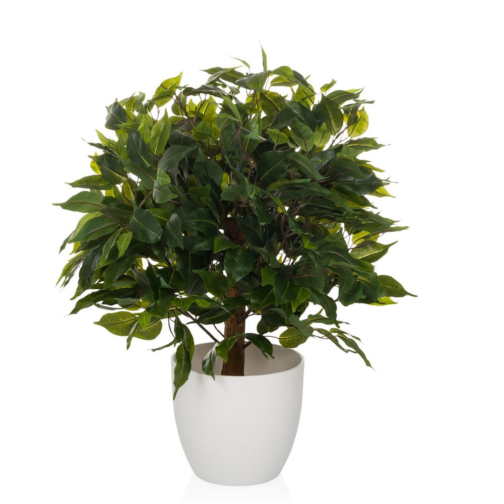 Kunstpflanze Kunstpflanze FICUS II Kunststoff Birke, günstig online kaufen