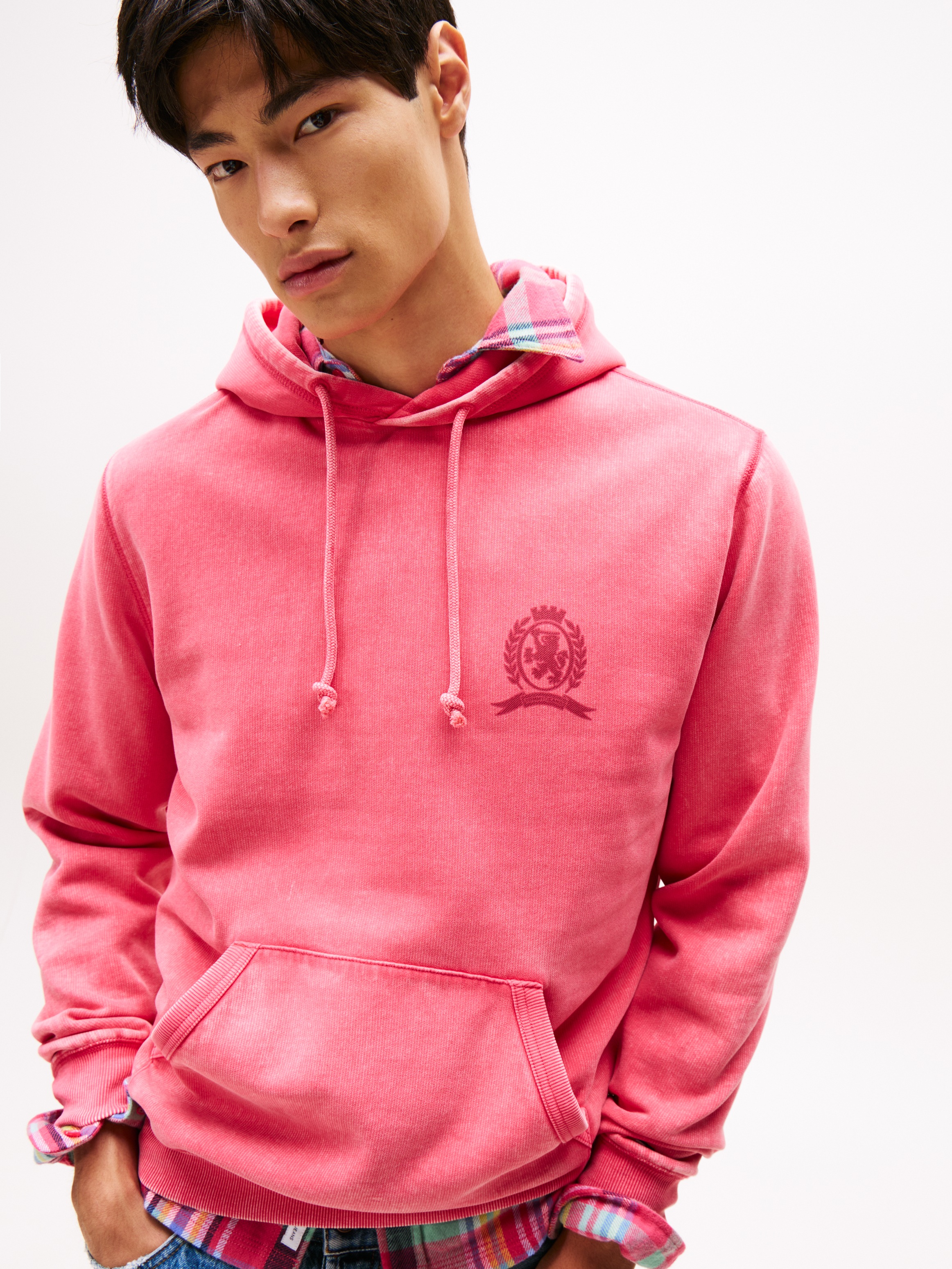 Tommy Jeans Hoodie "TJM WASHED CREST PLAY", regular fit, Sweatshirt, Rücken günstig online kaufen