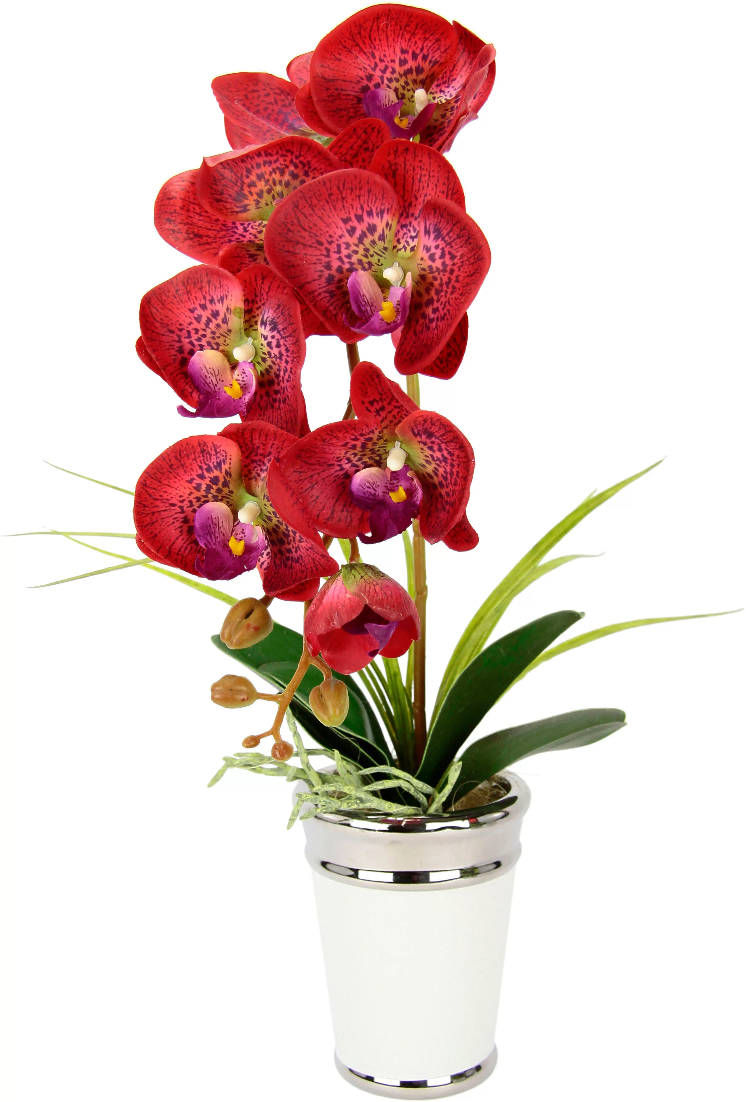 I.GE.A. Kunstblume "Orchidee", im Topf, aus Keramik, Seidenblume Real Touch günstig online kaufen