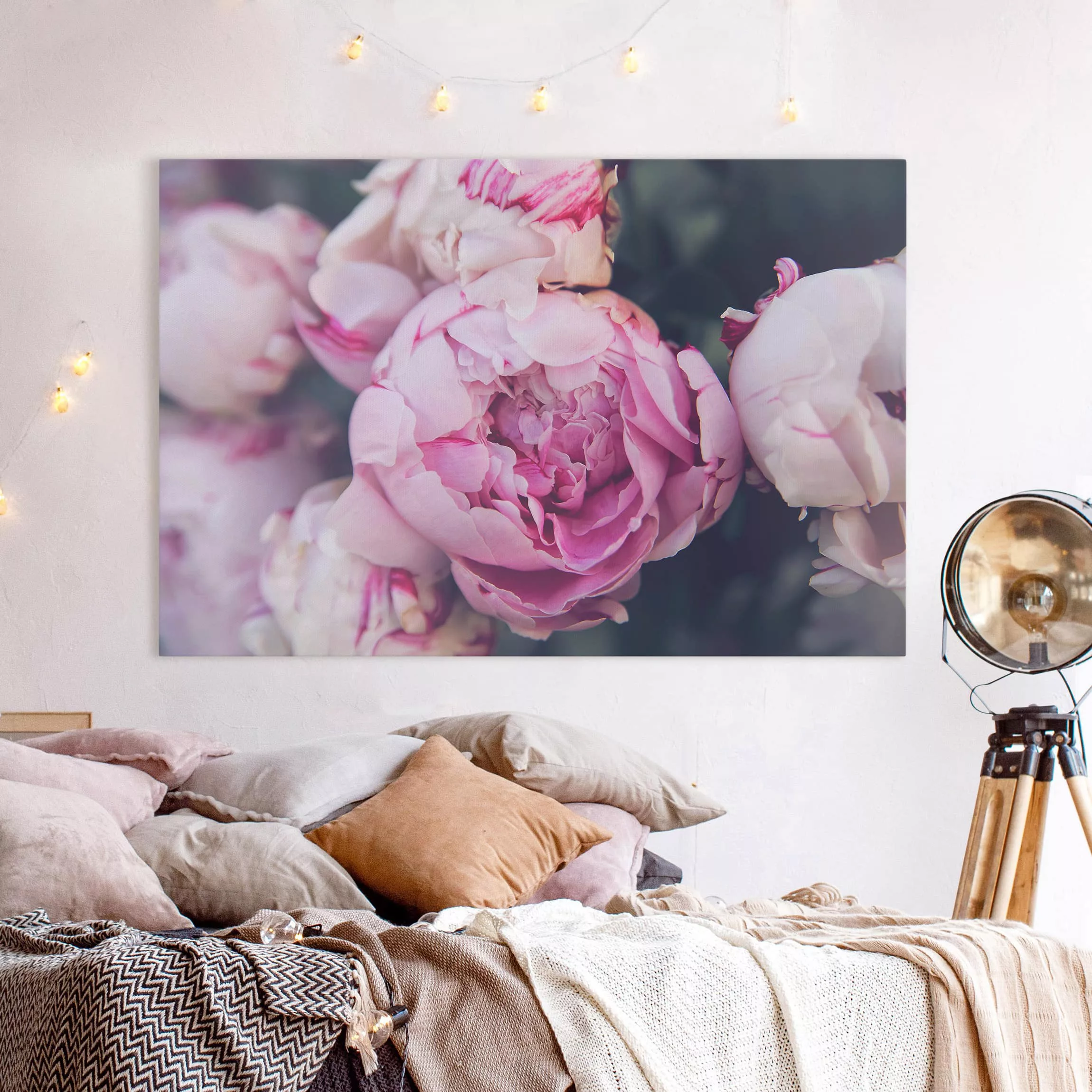 Leinwandbild Blumen - Querformat Pfingstrosenblüte Shabby günstig online kaufen