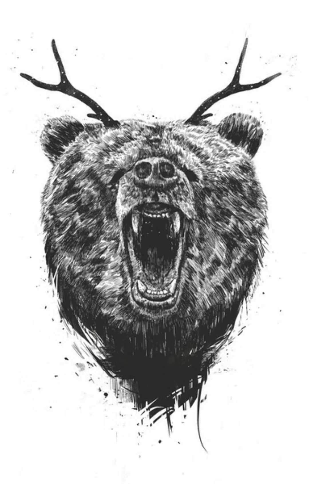 Poster / Leinwandbild - Angry Bear With Antlers günstig online kaufen