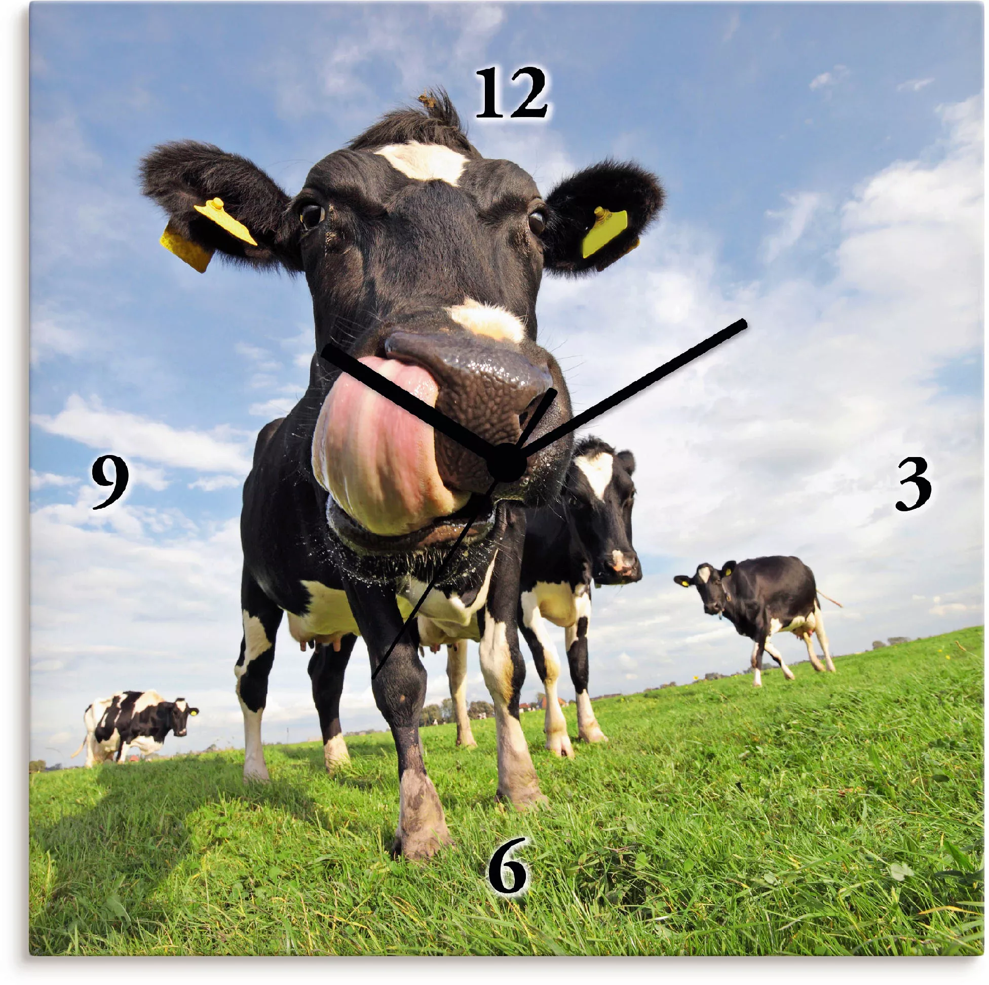 Artland Wanduhr »Holstein-Kuh mit gewaltiger Zunge« günstig online kaufen