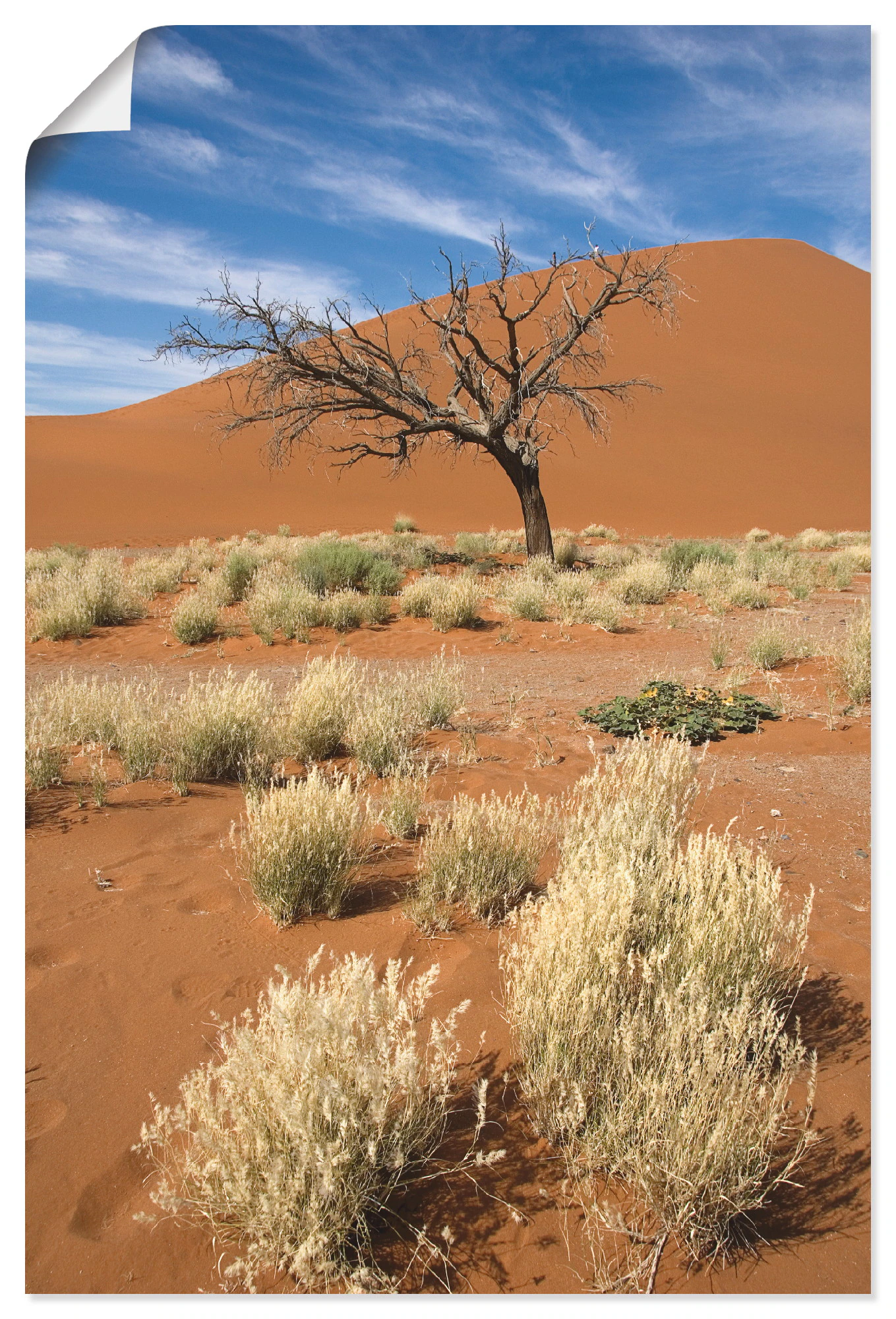 Artland Wandbild »Namib-Wüste 2«, Afrika, (1 St.), als Leinwandbild, Poster günstig online kaufen