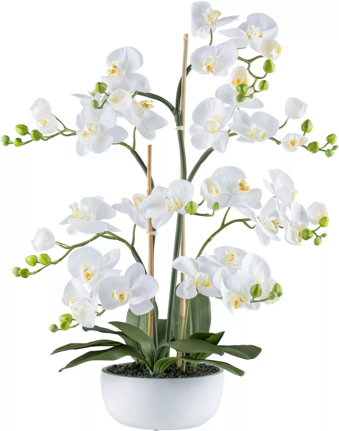 Creativ green Kunstorchidee "Orchidee Phalaenopsis", mit zahlreichen real-t günstig online kaufen