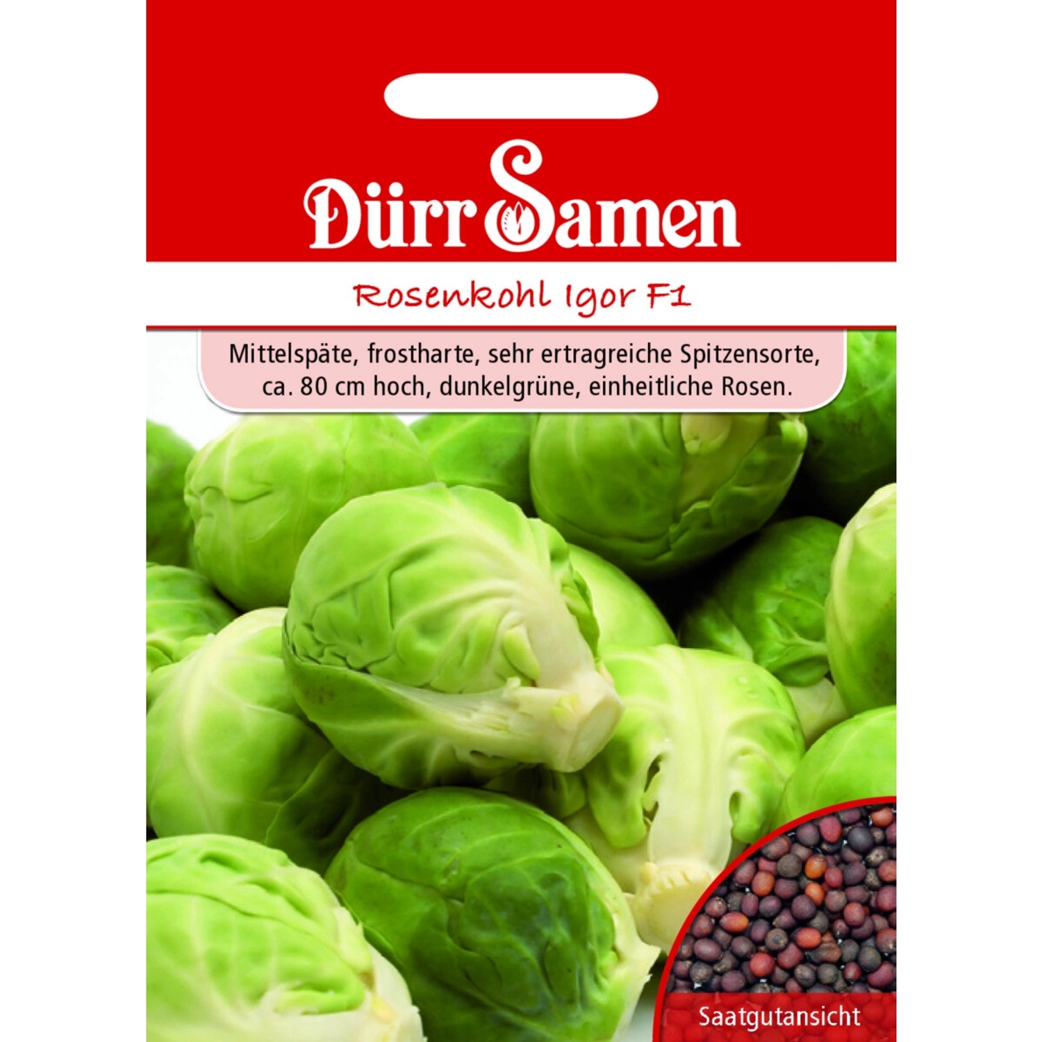 Dürr Samen Rosenkohl Igor F1 Saatgut günstig online kaufen