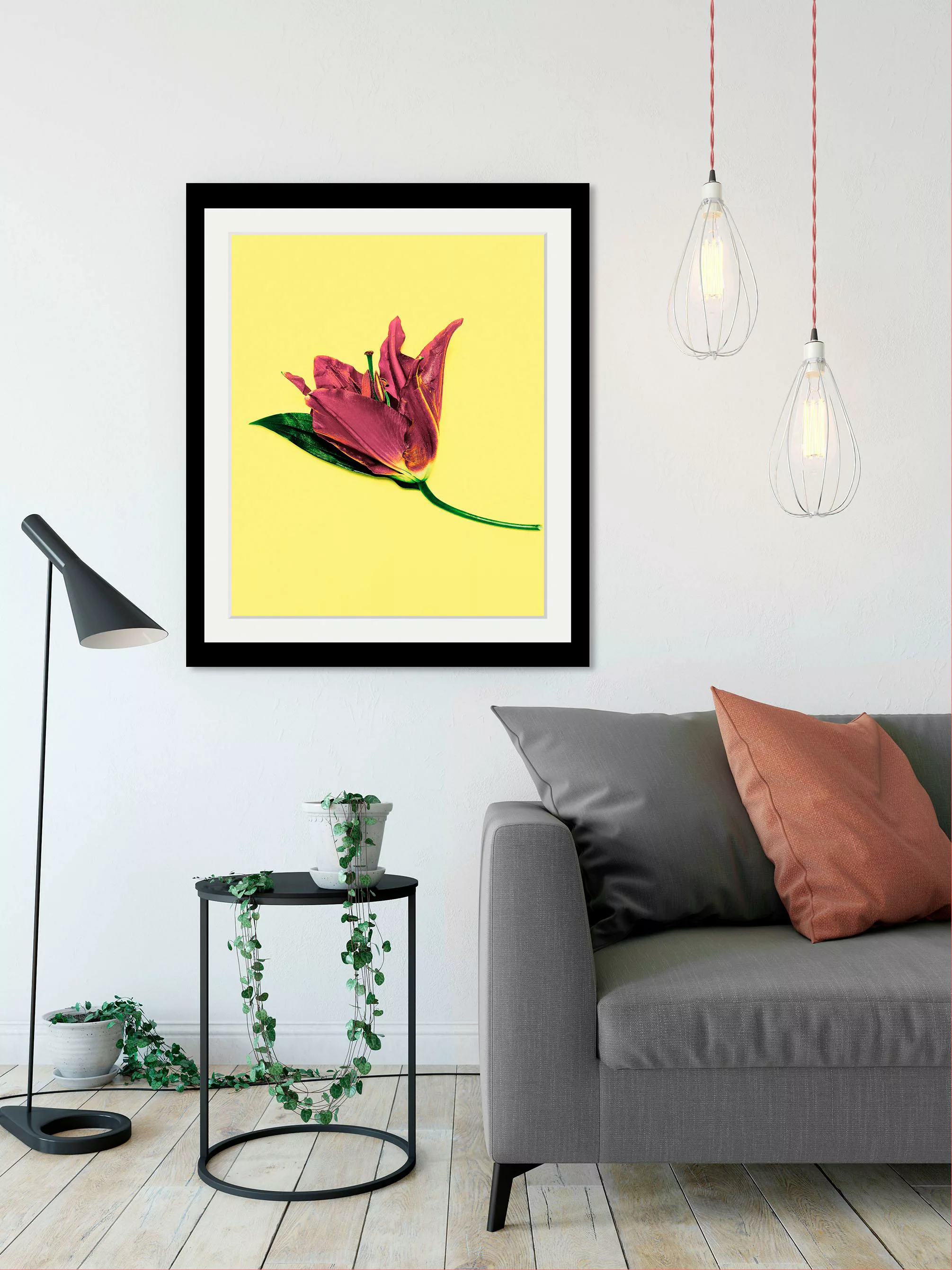 queence Bild "Blume" günstig online kaufen