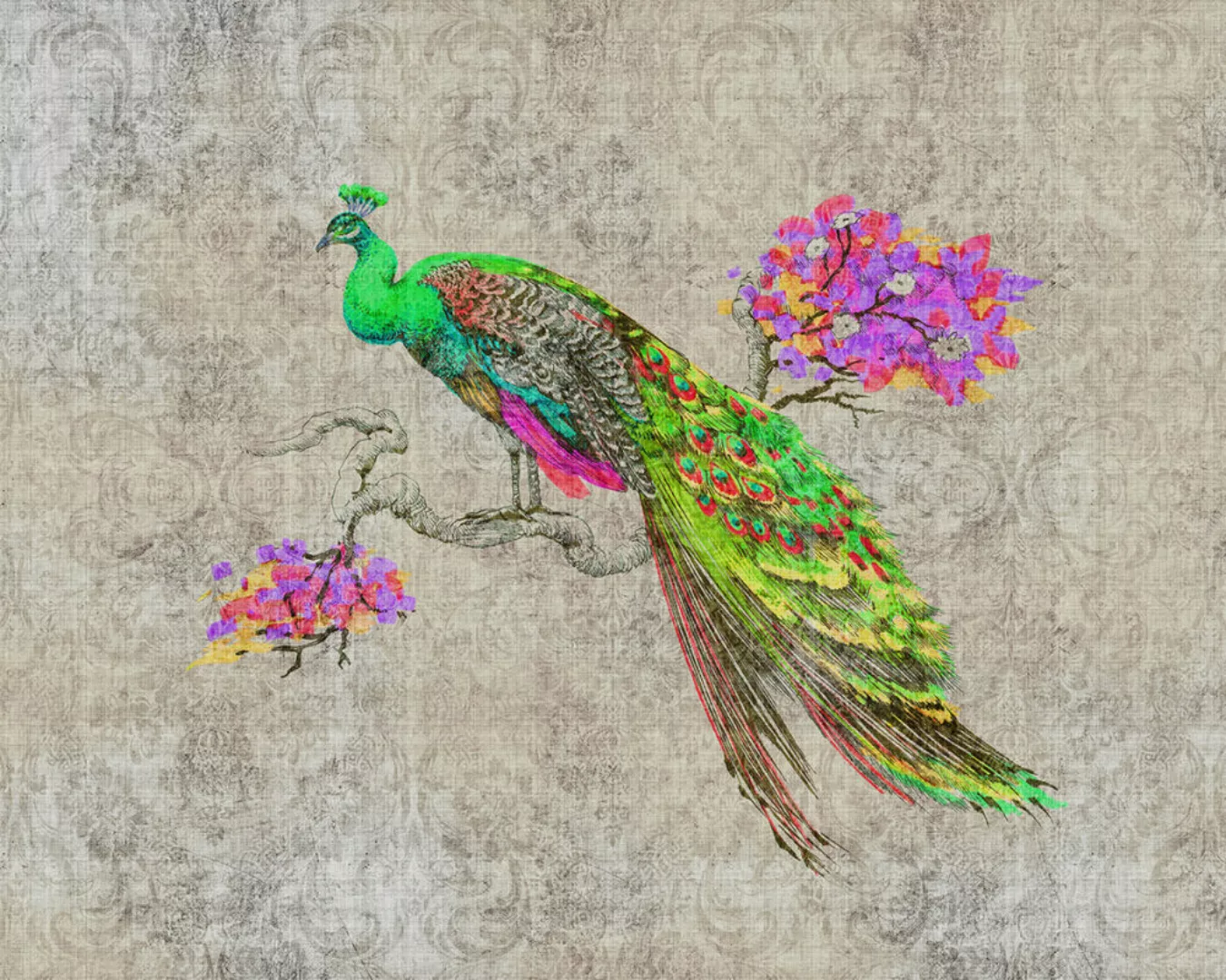 Fototapete "peacock 1" 4,00x2,70 m / Glattvlies Perlmutt günstig online kaufen