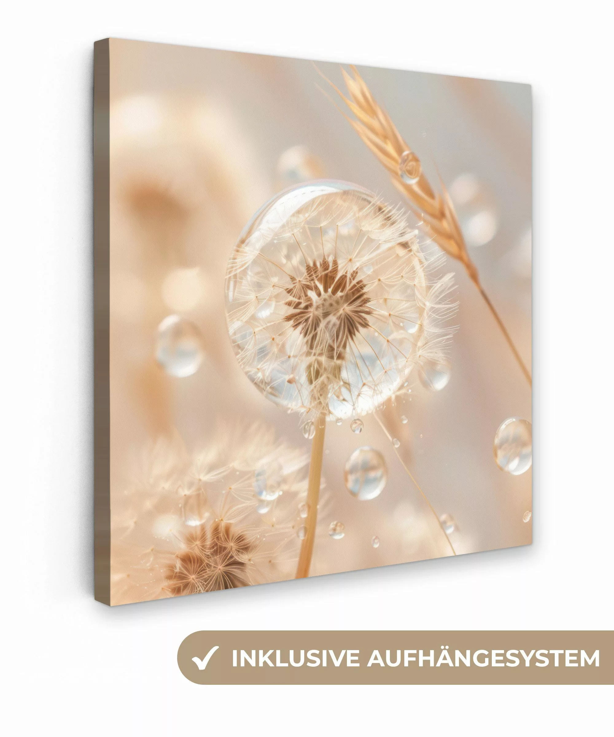 OneMillionCanvasses® Leinwandbild Löwenzahn - Wasser - günstig online kaufen