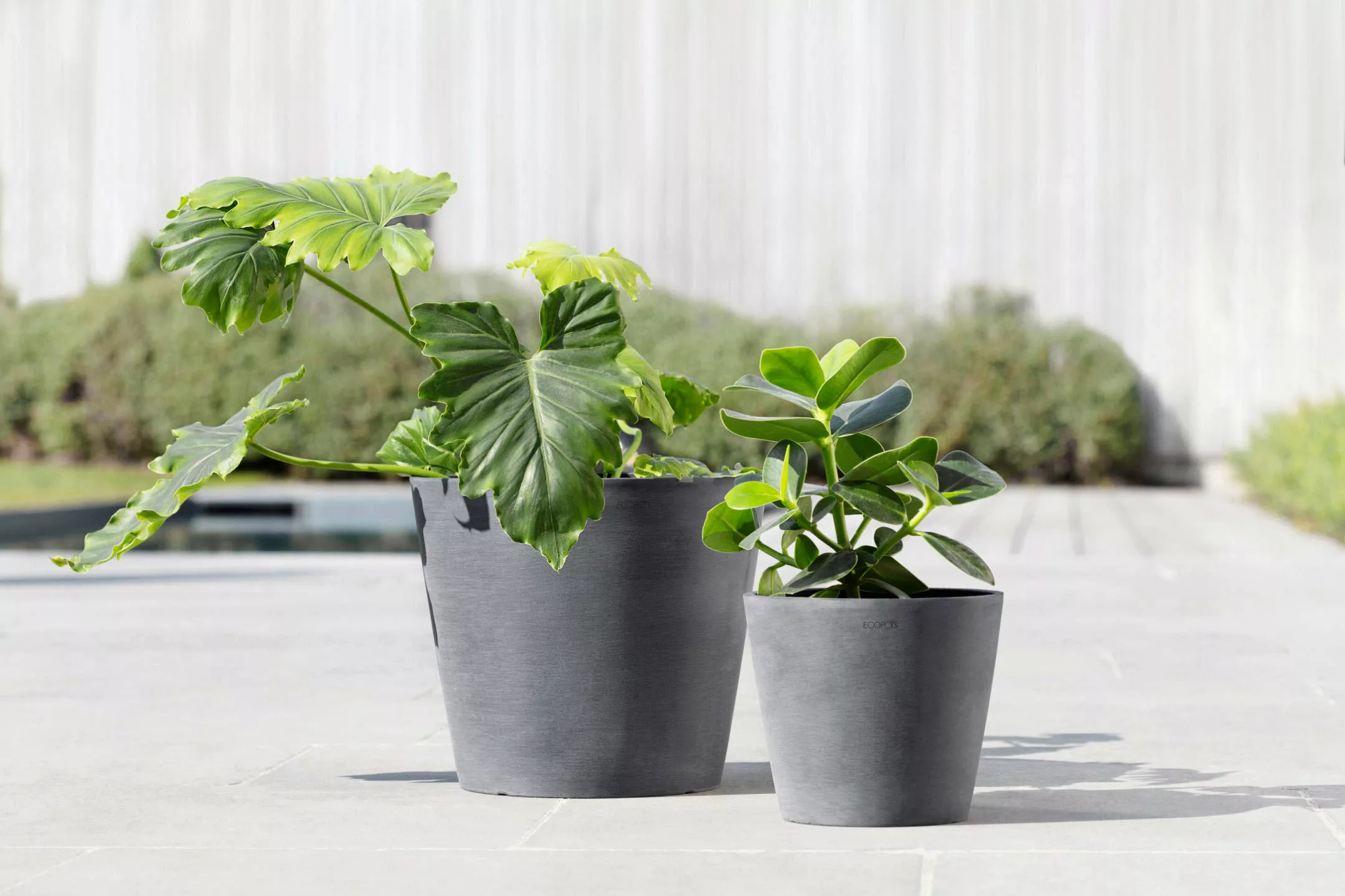 Ecopots Pflanztopf Amsterdam Braungrau 20 cm günstig online kaufen