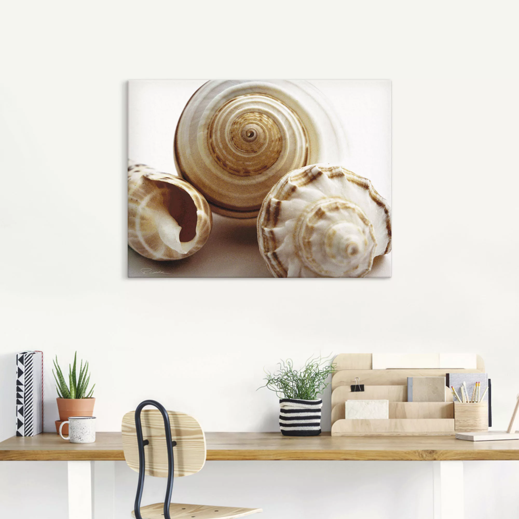 Artland Wandbild »Muschelkomposition I«, Wassertiere, (1 St.), als Leinwand günstig online kaufen