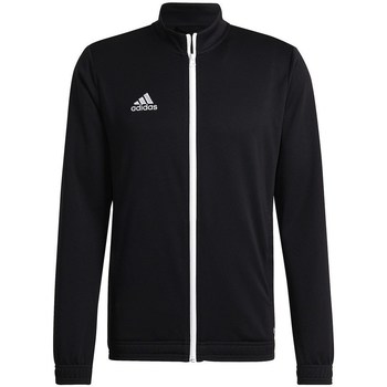 adidas  Sweatshirt Entrada 22 günstig online kaufen