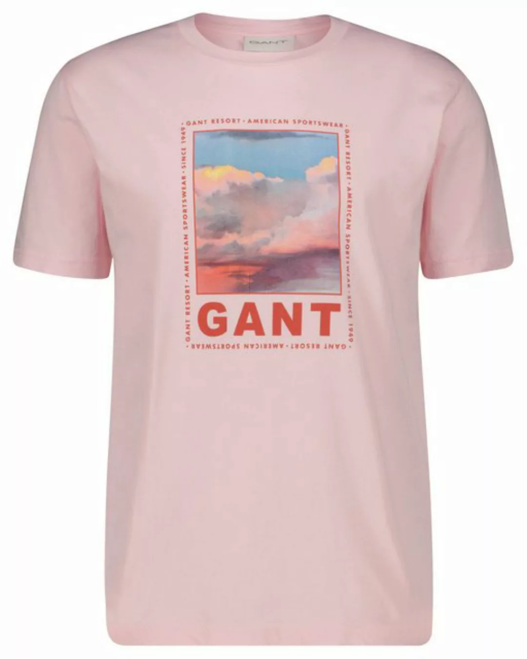 Gant T-Shirt WASHED GRAPHIC SS T-SHIRT günstig online kaufen