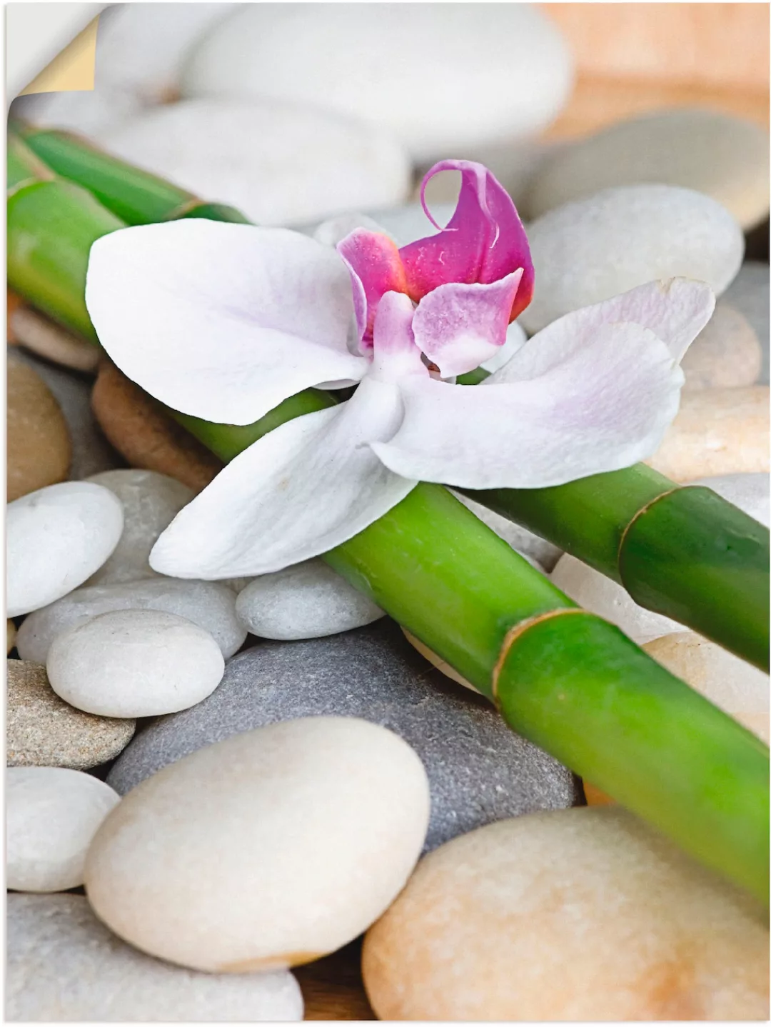 Artland Wandbild "Zen Orchidee", Zen, (1 St.), als Alubild, Outdoorbild, Le günstig online kaufen