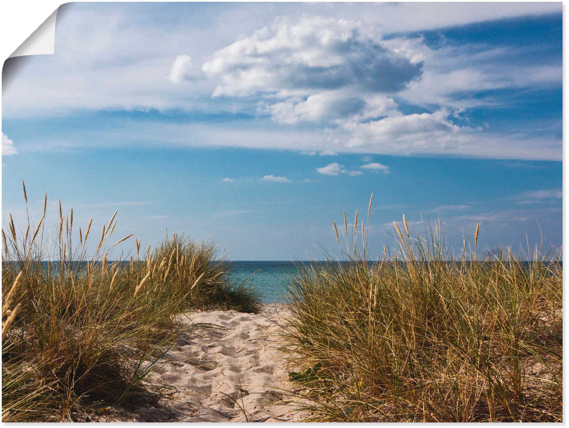 Artland Wandbild "Ostseestrand in Dänemark", Strand, (1 St.), als Leinwandb günstig online kaufen