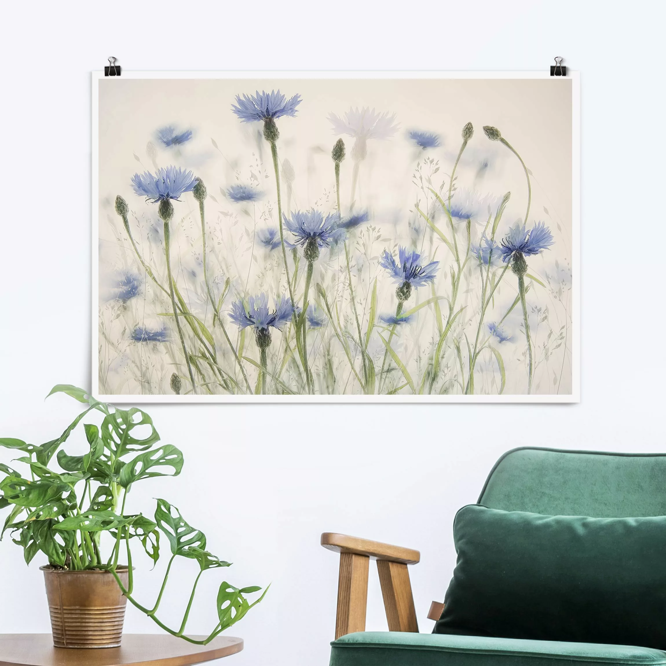 Poster Kornblumen und Gräser im Feld günstig online kaufen