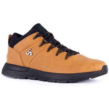 Bustagrip  Sneaker LANCER günstig online kaufen