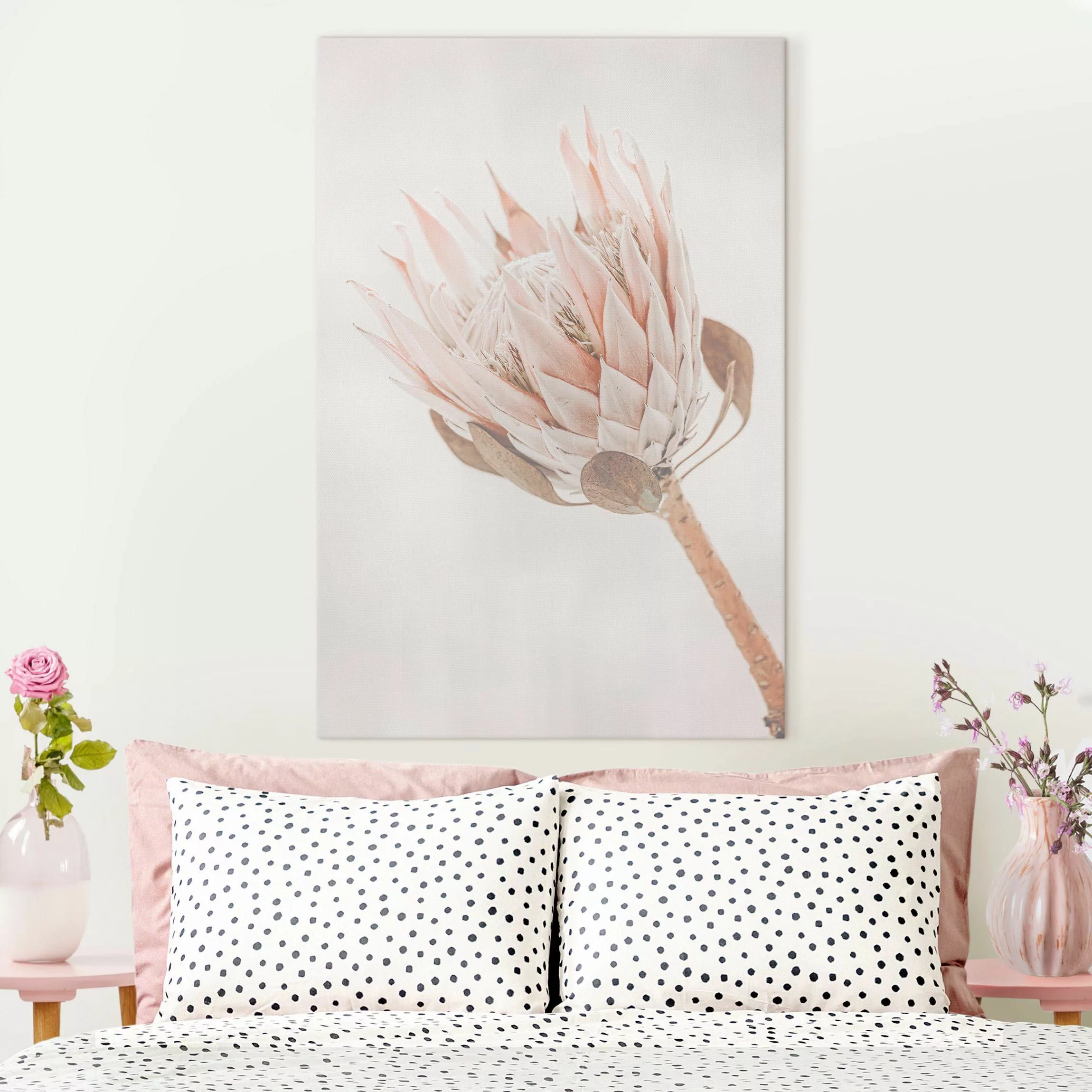 Leinwandbild Protea Königin der Blüten günstig online kaufen