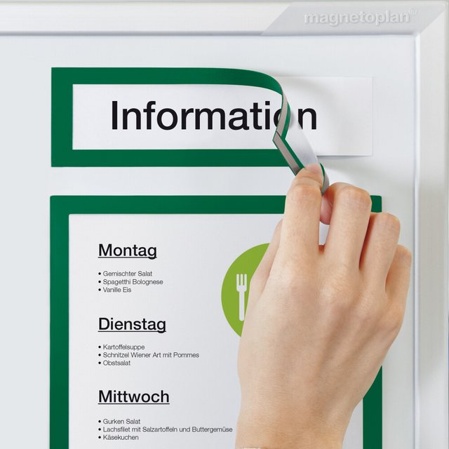 magnetoplan® Hängevitrine Magnetofix Magnetrahmen 5 Stk. grÃ¼n, 232x52mm (1 günstig online kaufen