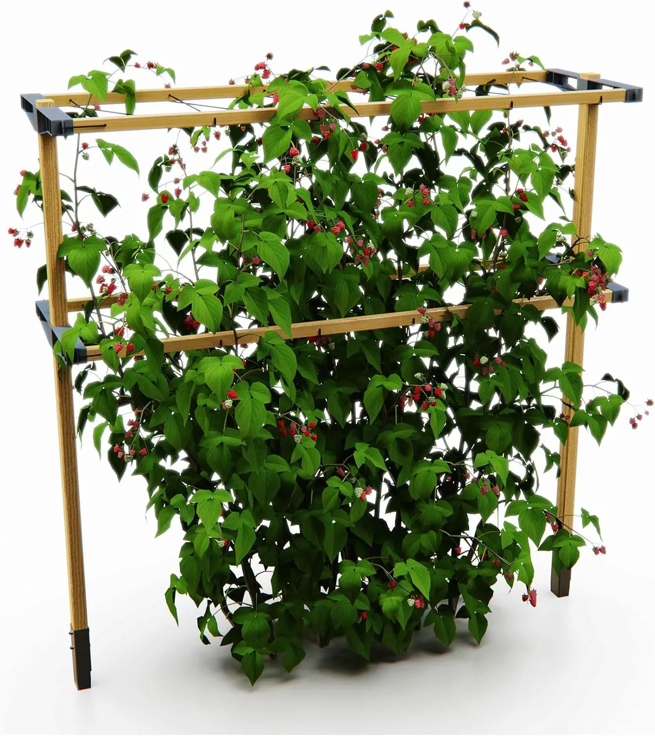 Gusta Garden Rankhilfe BERRY BUDDY, erweiterbares günstig online kaufen