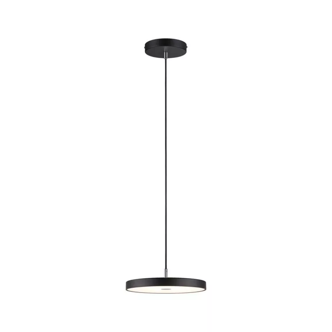 Paulmann LED Pendelleuchte »Hildor 20W 300 mm Schwarz 230V 2700K Metall/Kun günstig online kaufen