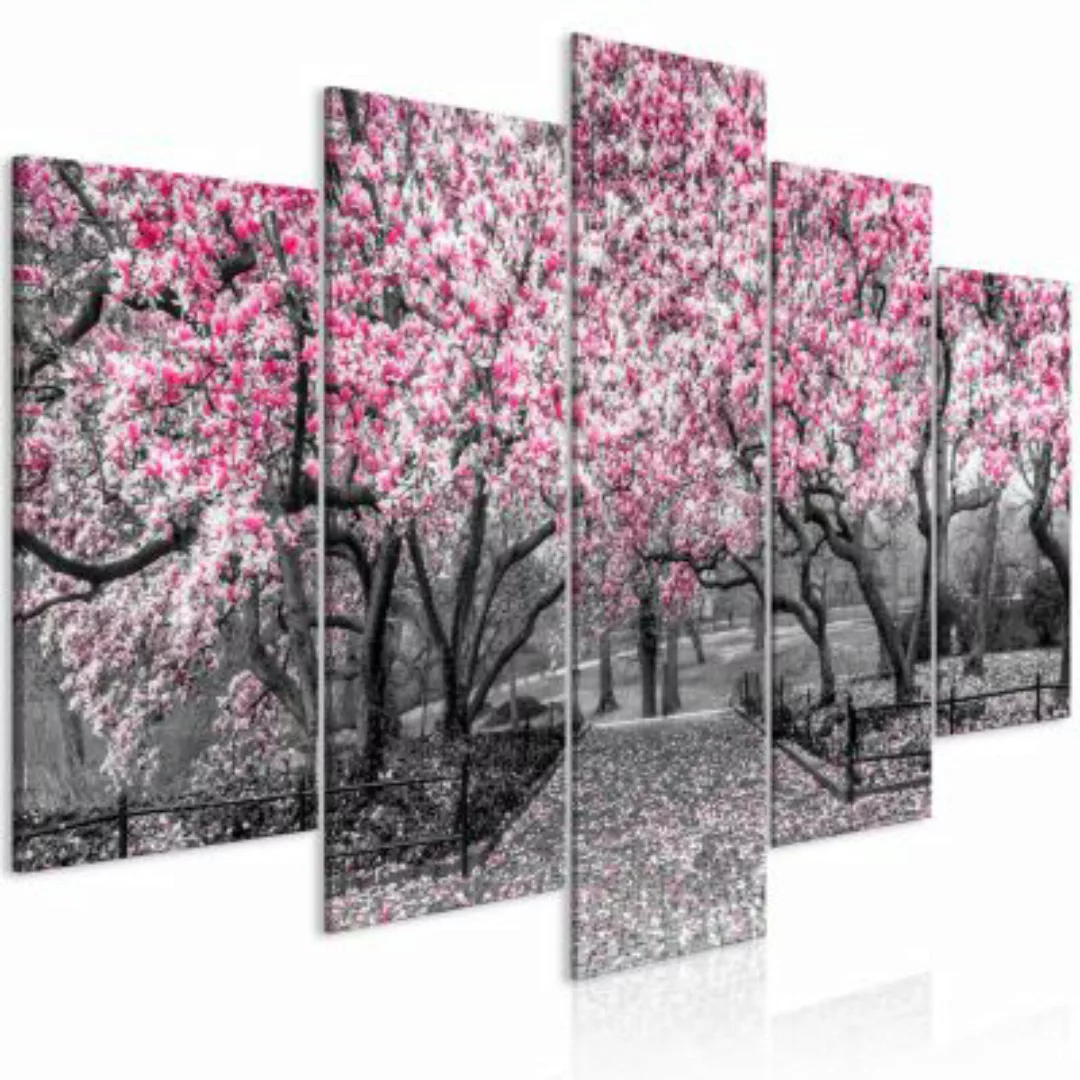 artgeist Wandbild Magnolia Park (5 Parts) Wide Pink rosa/grau Gr. 200 x 100 günstig online kaufen