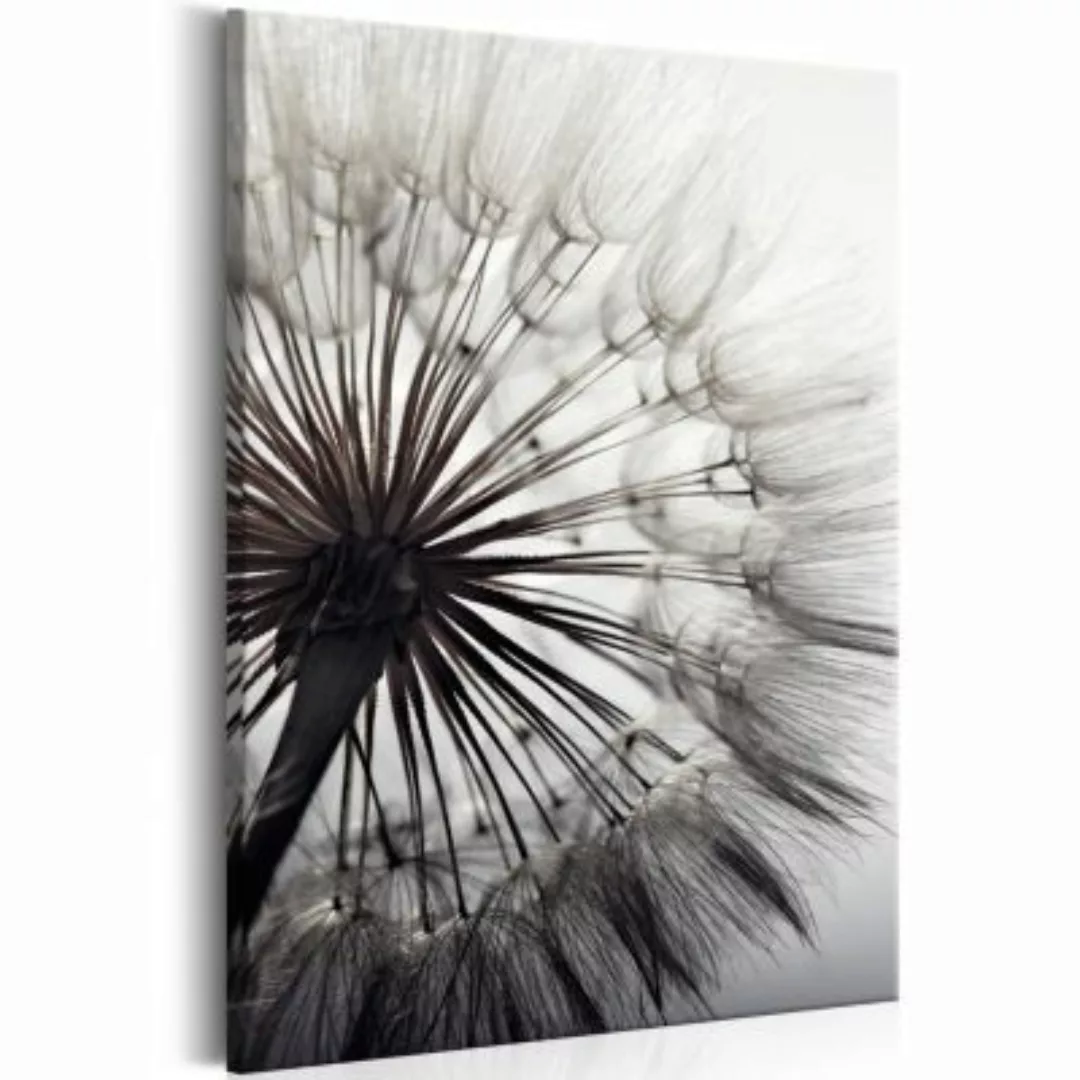 artgeist Wandbild Pure Delicacy schwarz/weiß Gr. 40 x 60 günstig online kaufen
