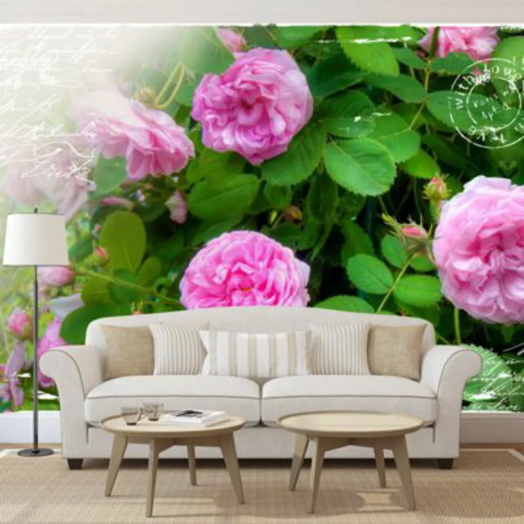 artgeist Fototapete Summer garden rosa/grün Gr. 350 x 245 günstig online kaufen