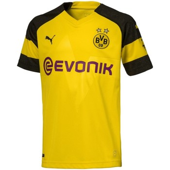 Puma  T-Shirts & Poloshirts Sport Borussia Dortmund Heimtrikot 2018/19 7533 günstig online kaufen