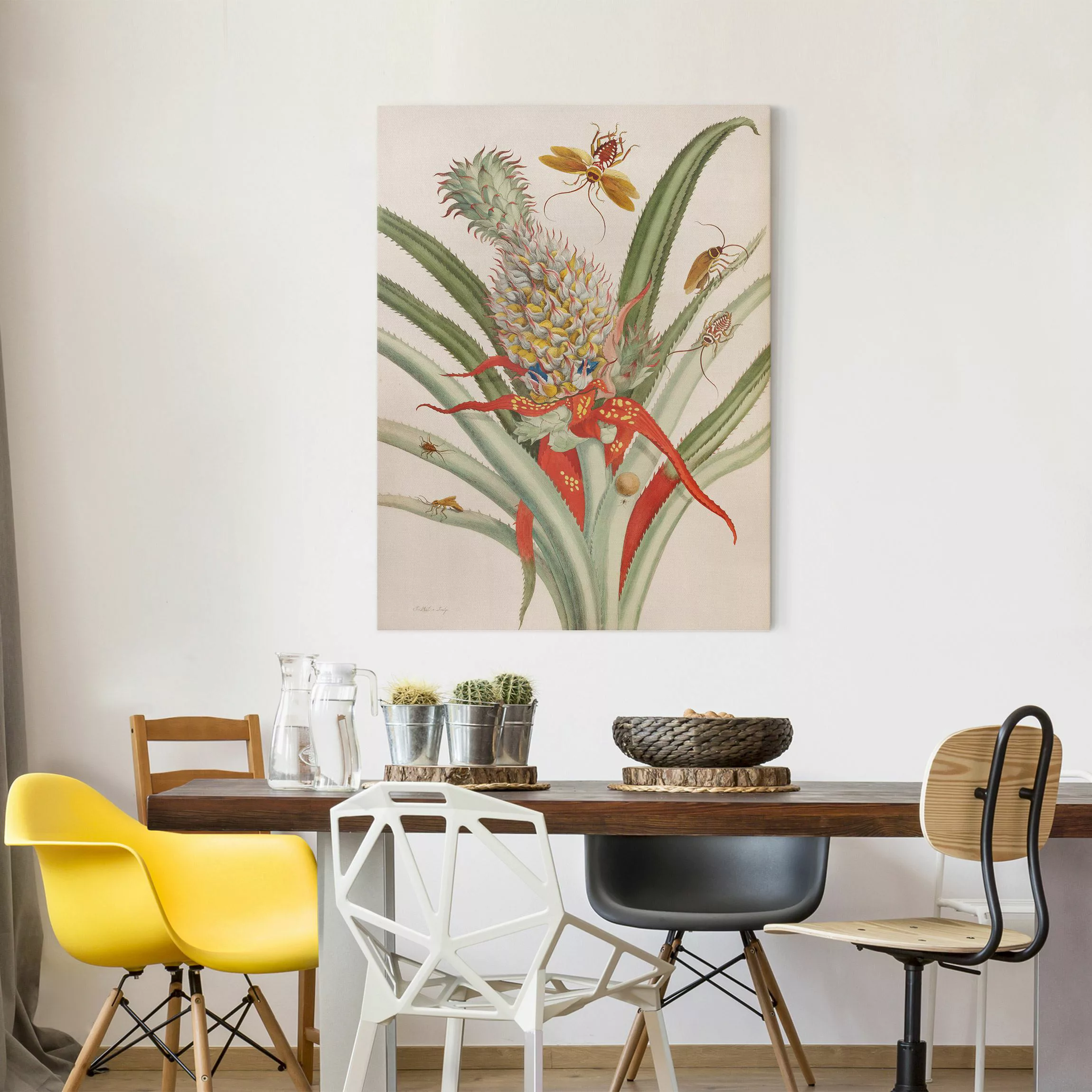 Leinwandbild Anna Maria Sibylla Merian - Ananas mit Insekten günstig online kaufen