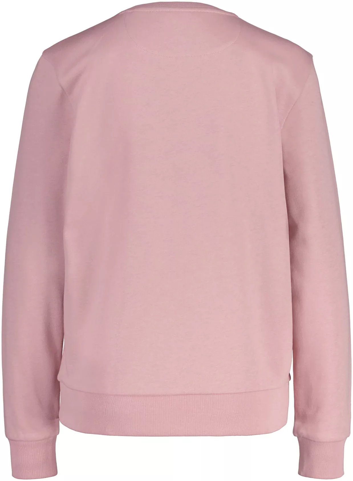 Gant Sweatshirt REG PRINTED GRAPHIC C-NECK günstig online kaufen