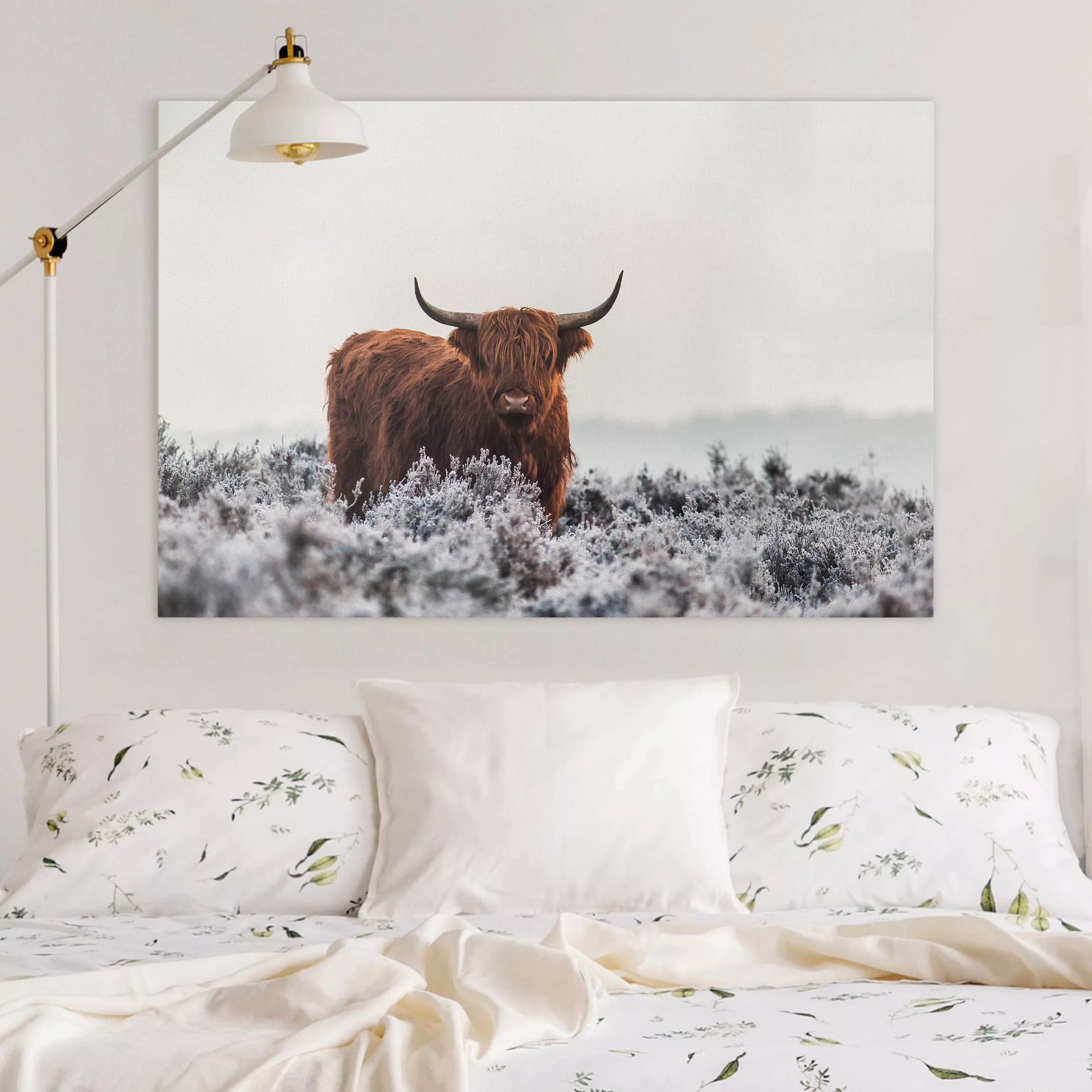 Leinwandbild Tiere - Querformat Bison in den Highlands günstig online kaufen