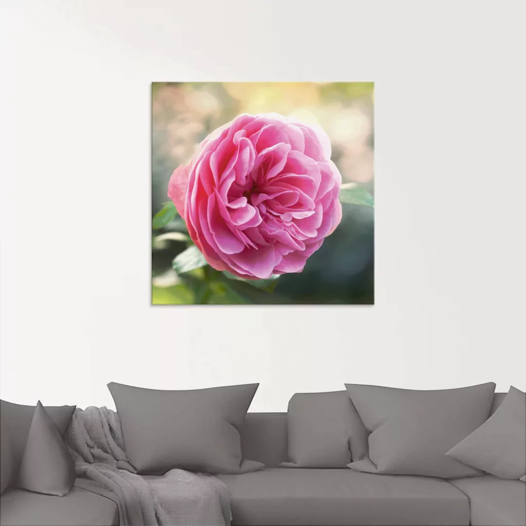 Artland Glasbild "Rosa Rose im Gegenlicht", Blumen, (1 St.), in verschieden günstig online kaufen