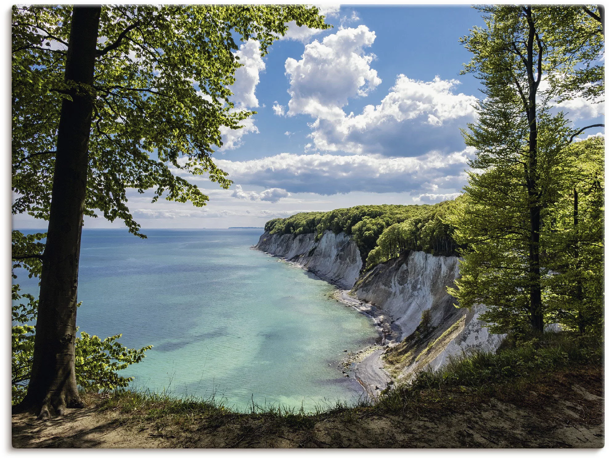 Artland Wandbild "Ostseeküste auf der Insel Rügen.", Küste, (1 St.), als Le günstig online kaufen