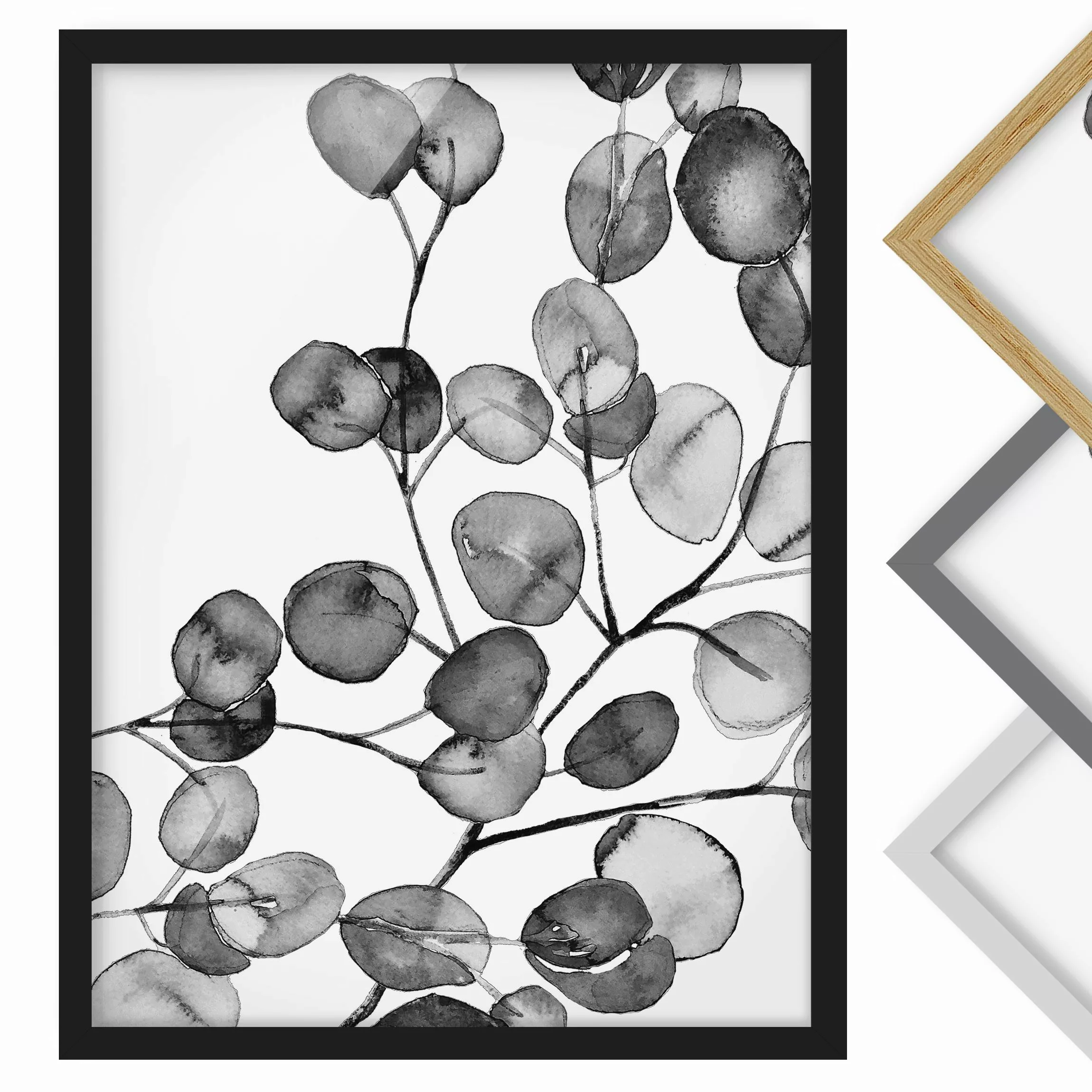 Bild mit Rahmen Schwarz Weiß Aquarell Eukalyptuszweig günstig online kaufen