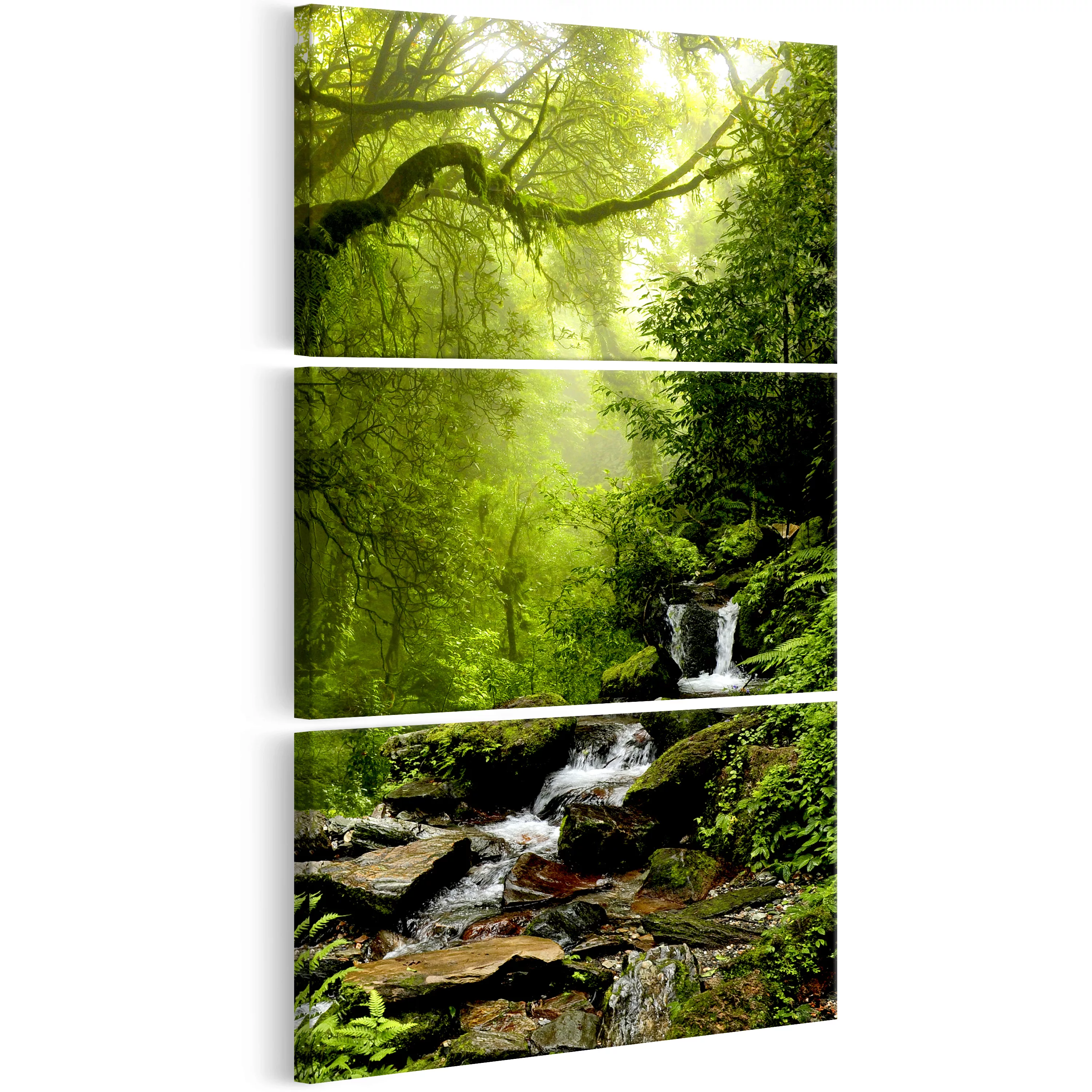 Wandbild - Brook Among Trees günstig online kaufen