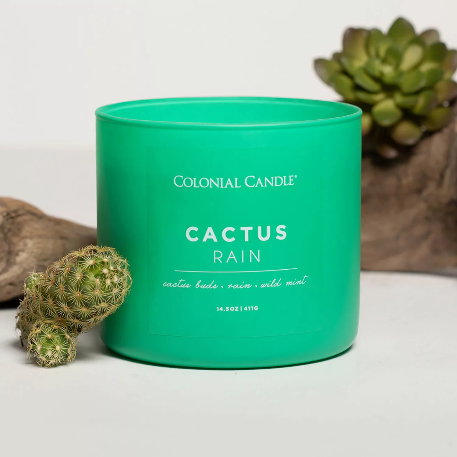 home24 Duftkerze Cactus Rain günstig online kaufen