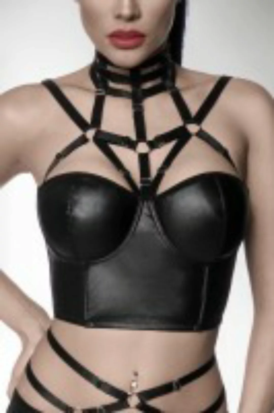 Harness Wetlook Top günstig online kaufen