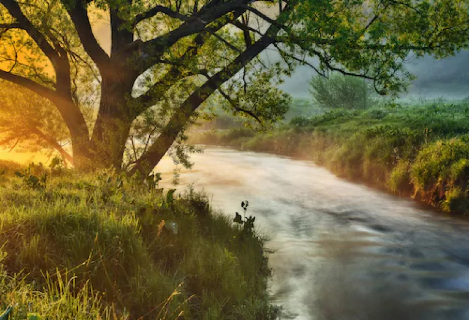 Papermoon Fototapete »Fluss am Baum« günstig online kaufen