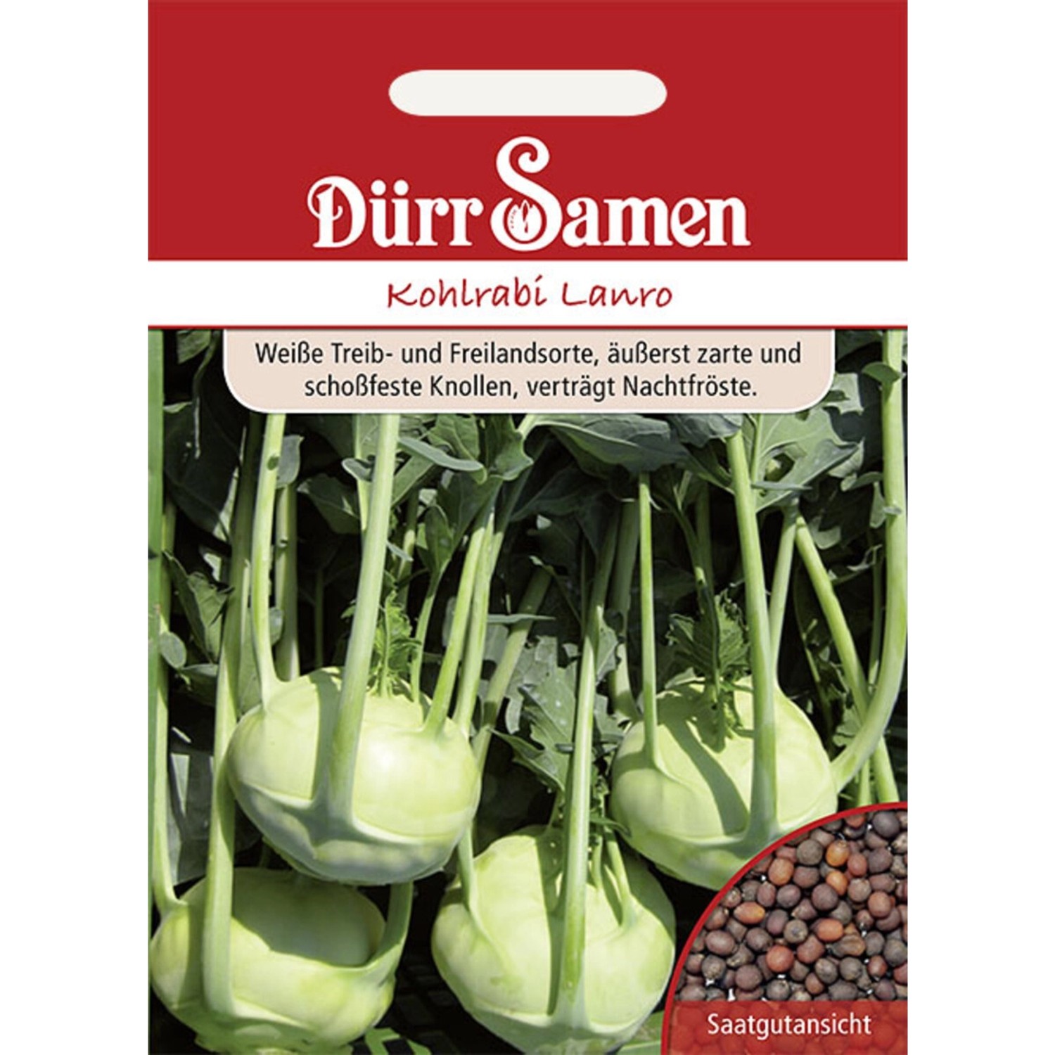 Dürr Samen Kohlrabi Lanro Saatgut günstig online kaufen