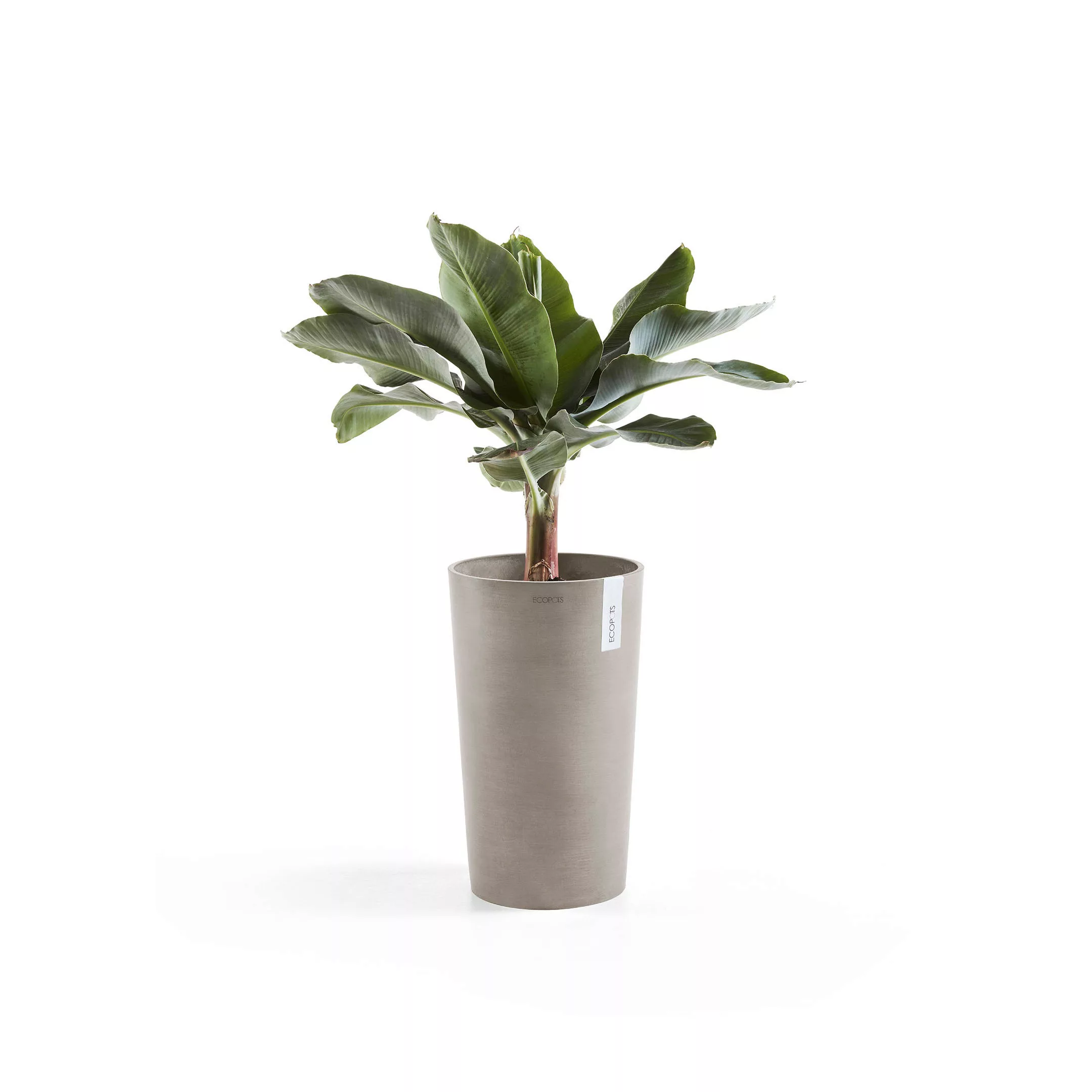 Ecopots Pflanztopf Amsterdam halbhoch Braungrau 50 cm günstig online kaufen