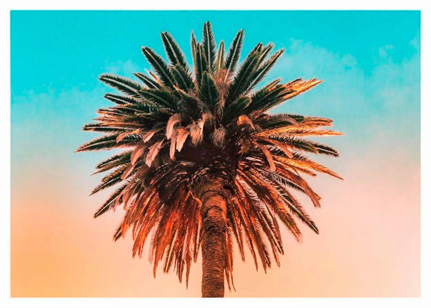 Komar Poster »Palm Tree«, Pflanzen-Blätter, (1 St.), Kinderzimmer, Schlafzi günstig online kaufen