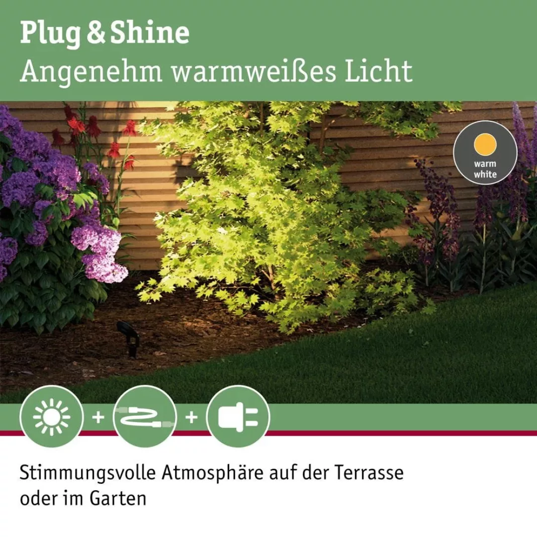Paulmann Plug & Shine Sting 3.000K 3er-Basis-Set günstig online kaufen