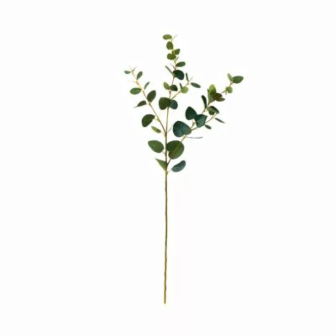 FLORISTA 4x Eukalyptuszweig Länge 70cm günstig online kaufen