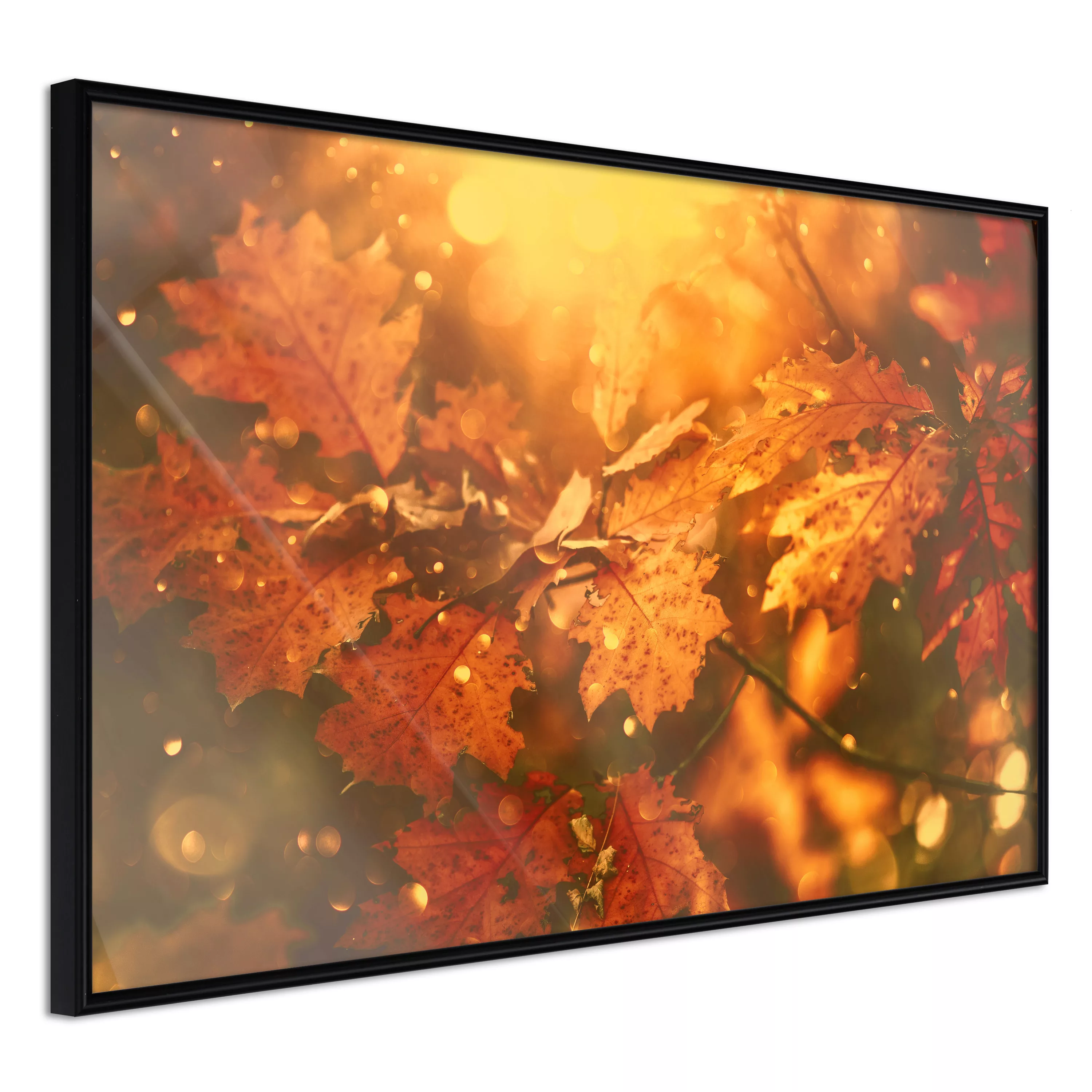 Poster - Golden Autumn günstig online kaufen