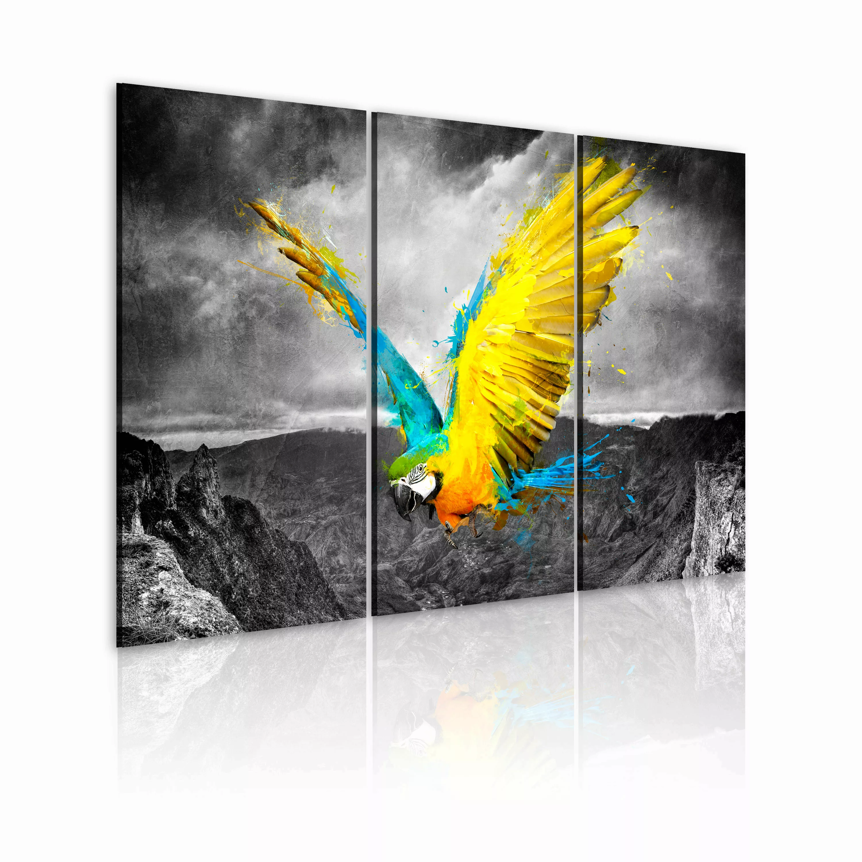 Wandbild - Paradiesvogel - Triptychon günstig online kaufen