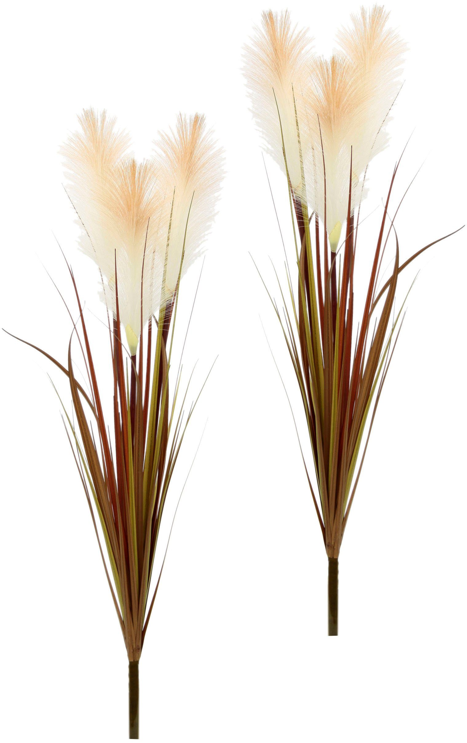 Kunstblume Pampasgras, I.GE.A., Höhe 75 cm, günstig online kaufen